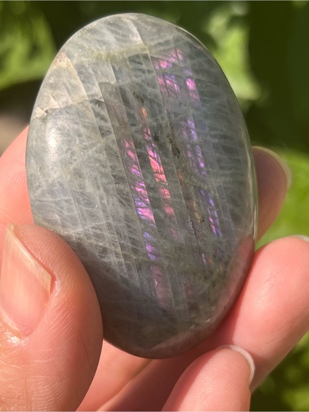 Labradorite (15) PalmStone | crystal